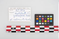 Foto von Leichenbrand (NHMW-PRAE-085794)